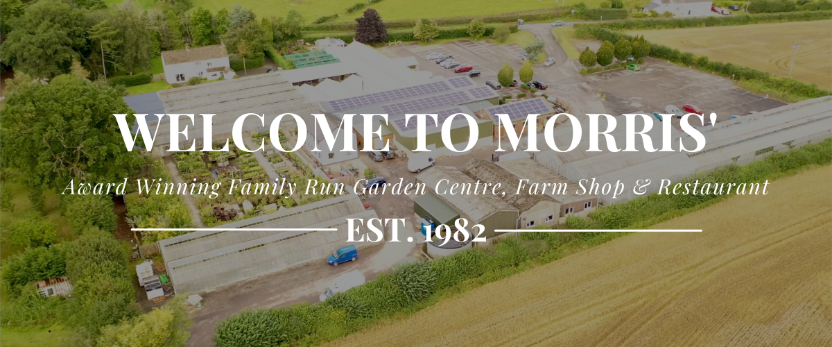 Morris's of Usk Garden Centre and Nurseries
